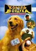 Король воздуха 4: Седьмая подача (2002) онлайн