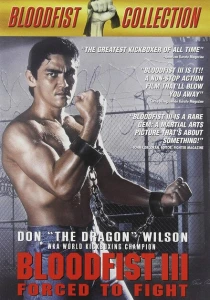 фильм Кровавый кулак 3: Вынужденный поединок (1991) бесплатно