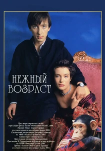 Нежный возраст (2000) онлайн