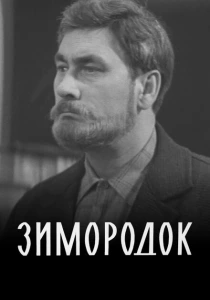 Зимородок (1972) онлайн