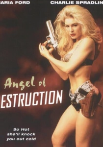 фильм Ангел разрушения (1994) бесплатно