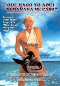 фильм Особенности холостяцкой вечеринки (1994) бесплатно