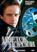 фильм Цветок у дороги (1993) бесплатно