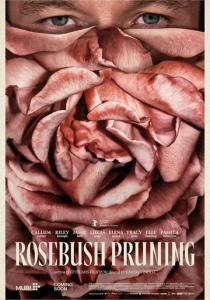 Подрезка кустов роз (2026)